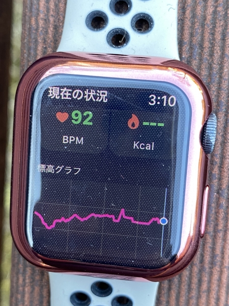 Apple Watch IMG_4370