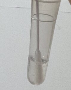 新型コロナウイルス感染 抗原定性検査陽性